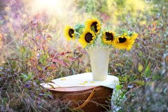 Flores para Regalar, Floristería Online, Ramos de Flores, Arreglos Florales, Floristerías en Valencia, Envíos Urgentes Florales