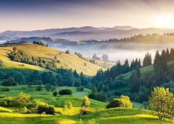 Flores tanatorios de Valencia